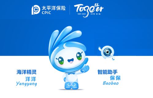 掌握这些要点，轻松选购车险